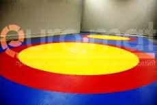 ДЮСШ (г. Воронеж)