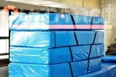 Спортивная школа (г. Красноярск)