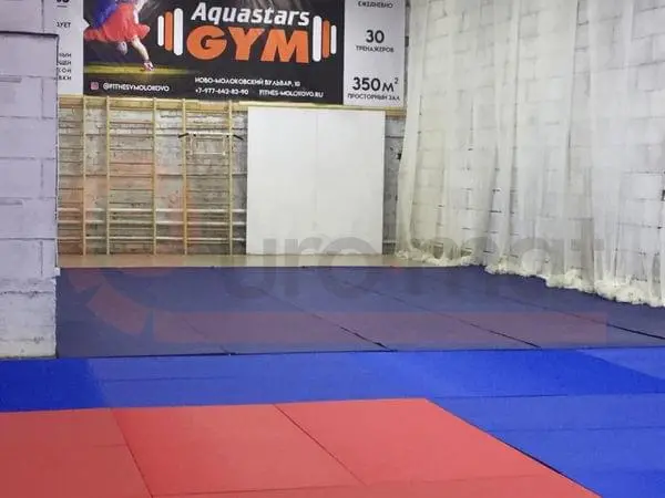 Частная секция по единоборствам